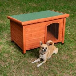 Caseta De Madera Woody Con Puerta Para Perros -Ofertas Mascotas Tienda 55517 woody flachdach outside fg 9073 9