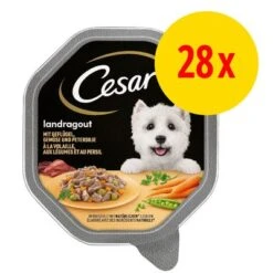 Cesar En Tarrinas 28 X 150 G