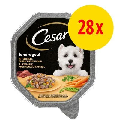 Cesar En Tarrinas 28 X 150 G 1 Cesar En Tarrinas 28 X 150 G