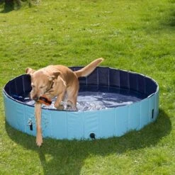 Piscina Para Perros Keep Cool -Ofertas Mascotas Tienda 60405 dog pool mit hund 01 5