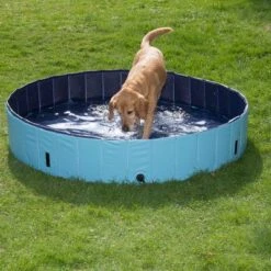 Piscina Para Perros Keep Cool -Ofertas Mascotas Tienda 60405 dog pool mit hund 02 0