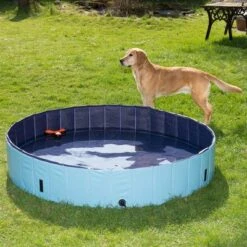 Piscina Para Perros Keep Cool -Ofertas Mascotas Tienda 60405 dog pool mit hund 04 8