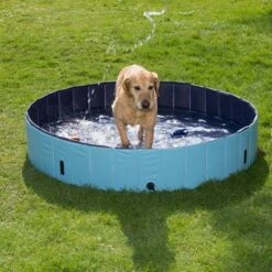Piscina Para Perros Keep Cool -Ofertas Mascotas Tienda 60405 dog pool mit hund 05 2