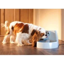 Fuente De Agua Para Mascotas Drinkwell Original De PetSafe -Ofertas Mascotas Tienda 60939 dw o trinkbrunnen 1 5 hs 03 0