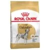 Royal Canin Dálmata Adult