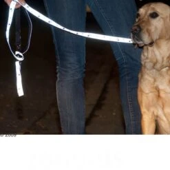 Correa Ajustable Y Reflectante Trixie Color Gris -Ofertas Mascotas Tienda 61857 trixie vleinepfoten4 1