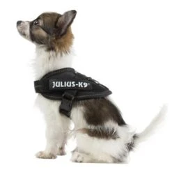 Julius K9 Arnés Julius-K9 IDC® Power Negro Para Perros -Ofertas Mascotas Tienda 65467 julius k9 idc powergeschirr schwarz 7