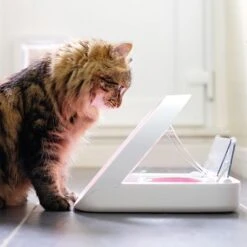 Sureflap Colgantes Identificativos Para Gateras Y Comederos Automáticos -Ofertas Mascotas Tienda 65566 surefeed microchip pet feeder hs 01 1