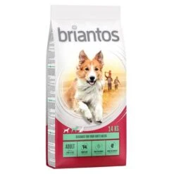 Briantos Pienso Para Perros - Pack Ahorro -Ofertas Mascotas Tienda 66220 pla briantos adult lamm reis 14 kg hs 02 0
