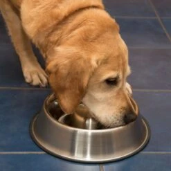 Comedero Antivoracidad De Acero Para Perros -Ofertas Mascotas Tienda 66349 antischlingnapf fg 1011 1