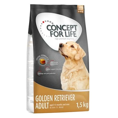 Concept For Life Golden Retriever Adult 5 Concept For Life Golden Retriever Adult - Imagen 5