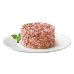 Gourmet Gold Tartelette 24 X 85 G 20 Gourmet Gold Tartelette 24 X 85 G -Ofertas Mascotas Tienda 69003 purina gourmet gold raffiniertes ragout mit thunfisch 5