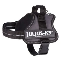 Julius K9 Arnés JULIUS-K9® Power Antracita Para Perros -Ofertas Mascotas Tienda 69338 pla trixie julius k9 farbangabe hs 03 15020za 3