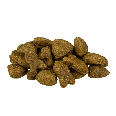 Bosch Adult Con Salmón Y Patata 2 Bosch Adult Con Salmón Y Patata - Imagen 2