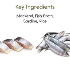 Applaws Latas En Caldo Para Gatos 12 X 70 G -Ofertas Mascotas Tienda 70838 applaws bruhe makrele sardine 70g hs 03 4