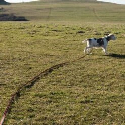 Correa De Rastreo Heim Engomada Para Perros -Ofertas Mascotas Tienda 71830 supergrip outside fg 3556 0