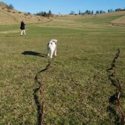 Correa De Rastreo Heim Engomada Para Perros -Ofertas Mascotas Tienda 71830 supergrip outside fg 3561 5