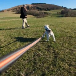 Correa De Rastreo Heim Engomada Para Perros -Ofertas Mascotas Tienda 71830 supergrip outside fg 3614 9