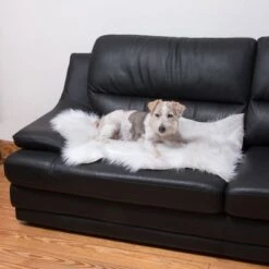 Smartpet Alfombra Para Perros Y Gatos -Ofertas Mascotas Tienda 73343 kunstfell wei tier fg 9887 1