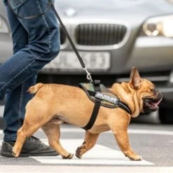 Julius K9 Arnés Julius-K9 IDC®-Power Camuflaje Para Perros 14 Julius K9 Arnés Julius-K9 IDC®-Power Camuflaje Para Perros -Ofertas Mascotas Tienda 73991 julius k9 idc powergeschirr camouflage hs7 8