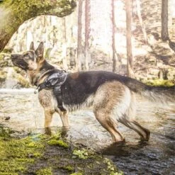 Julius K9 Arnés Julius-K9 IDC®-Power Camuflaje Para Perros 20 Julius K9 Arnés Julius-K9 IDC®-Power Camuflaje Para Perros -Ofertas Mascotas Tienda 74075 julius k9 idc powergeschirr camouflage 1 1