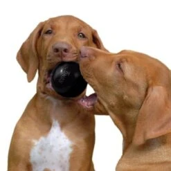 KONG Extreme Ball -Ofertas Mascotas Tienda 74241 kong extremeball hs 03 6