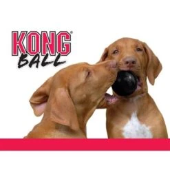 KONG Extreme Ball -Ofertas Mascotas Tienda 74241 kong extremeball hs 04 2
