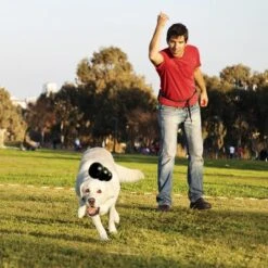 KONG Extreme Juguete Negro Para Perros -Ofertas Mascotas Tienda 74319 kongextremeschwarz hs 02 0