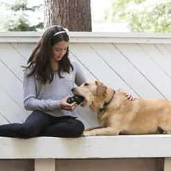 KONG Extreme Juguete Negro Para Perros -Ofertas Mascotas Tienda 74319 kongextremeschwarz hs 03 2