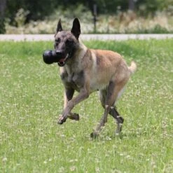 KONG Extreme Juguete Negro Para Perros -Ofertas Mascotas Tienda 74319 kongextremeschwarz hs 04 9