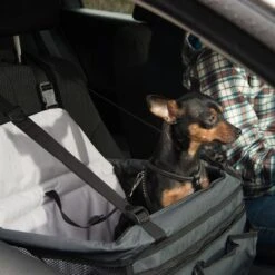 Asiento Para El Coche Booster -Ofertas Mascotas Tienda 78030 autositz booster fg 6387 2