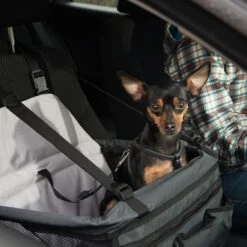 Asiento Para El Coche Booster -Ofertas Mascotas Tienda 78030 autositz booster fg 6388 6