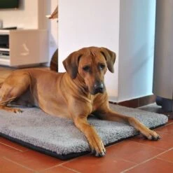 Colchón Ortopédico Pawz & Pepper Aurora 15 Colchón Ortopédico Pawz & Pepper Aurora -Ofertas Mascotas Tienda 78424 petlando pawzpepper hundekissen denver hs 07 9