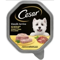 Cesar En Tarrinas 28 X 150 G 36 Cesar En Tarrinas 28 X 150 G -Ofertas Mascotas Tienda 78459 pla mars cesar klassiker huhn truthahn hs 01 0 1
