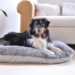 Cojín Ortopédico Pawz & Pepper Denver -Ofertas Mascotas Tienda 78610 petlando pawzpepper hundekissen auroraortho hs 010 3