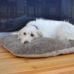 Cojín Ortopédico Pawz & Pepper Denver -Ofertas Mascotas Tienda 78610 petlando pawzpepper hundekissen auroraortho hs 09 5