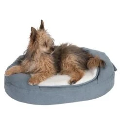 Cama Ortopédica Memory Ovalada Gris -Ofertas Mascotas Tienda 79216 memory oval grau fg 6670 1