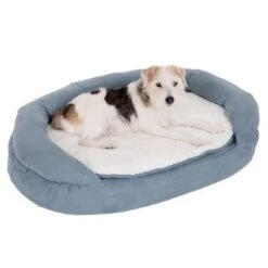 Cama Ortopédica Memory Ovalada Gris -Ofertas Mascotas Tienda 79217 memory oval grau fg 6571 5