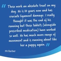 YuMOVE Comprimidos Cuidado Articular Para Perros Senior -Ofertas Mascotas Tienda 7senior 9