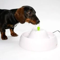 Bebedero Fuente Neptuno -Ofertas Mascotas Tienda 80407 trinkbrunnen trevi fg nachschlag 3283 6