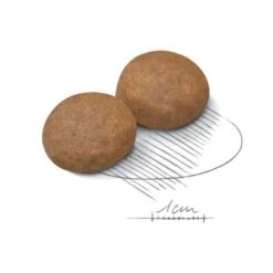 Royal Canin Maxi Adult 5+ -Ofertas Mascotas Tienda 80637 royalcanin maxiadult 5plus 15kg croc hs 02 1