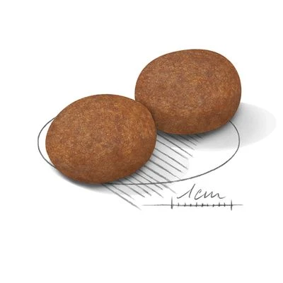 Royal Canin Medium Mature Adult 7+ 3 Royal Canin Medium Mature Adult 7+ - Imagen 3