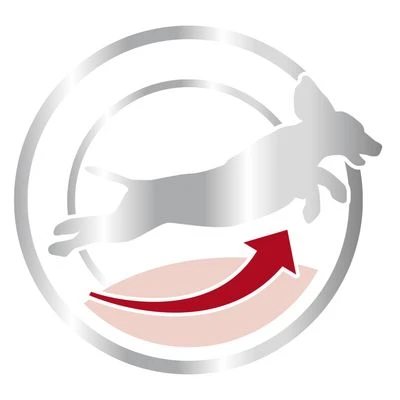 Royal Canin Medium Mature Adult 7+ 4 Royal Canin Medium Mature Adult 7+ - Imagen 4