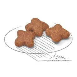 Royal Canin Mini Adult 8+ -Ofertas Mascotas Tienda 80653 royalcanin miniadult 8plus croc hs 02 4