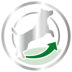 Royal Canin Mini Adult 8+ -Ofertas Mascotas Tienda 80653 royalcanin miniadult 8plus picto hs 03 6