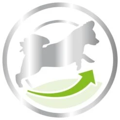 Royal Canin X-Small Adult 8 + -Ofertas Mascotas Tienda 80654 royalcanin packshot xsmall 8plus 3kg picto hs 03 2