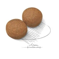 Royal Canin Maxi Adult -Ofertas Mascotas Tienda 80729 royalcanin maxiadult 15kg krokette hs 02 0