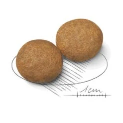 Royal Canin Medium Adult -Ofertas Mascotas Tienda 80731 royalcanin mediumadult 15kg croc hs 02 7