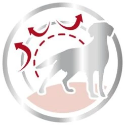 Royal Canin Medium Adult -Ofertas Mascotas Tienda 80731 royalcanin mediumadult 15kg picto hs 03 6