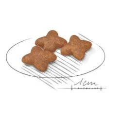 Royal Canin Mini Adult -Ofertas Mascotas Tienda 80735 royalcanin miniadult 8kg croc hs 02 9